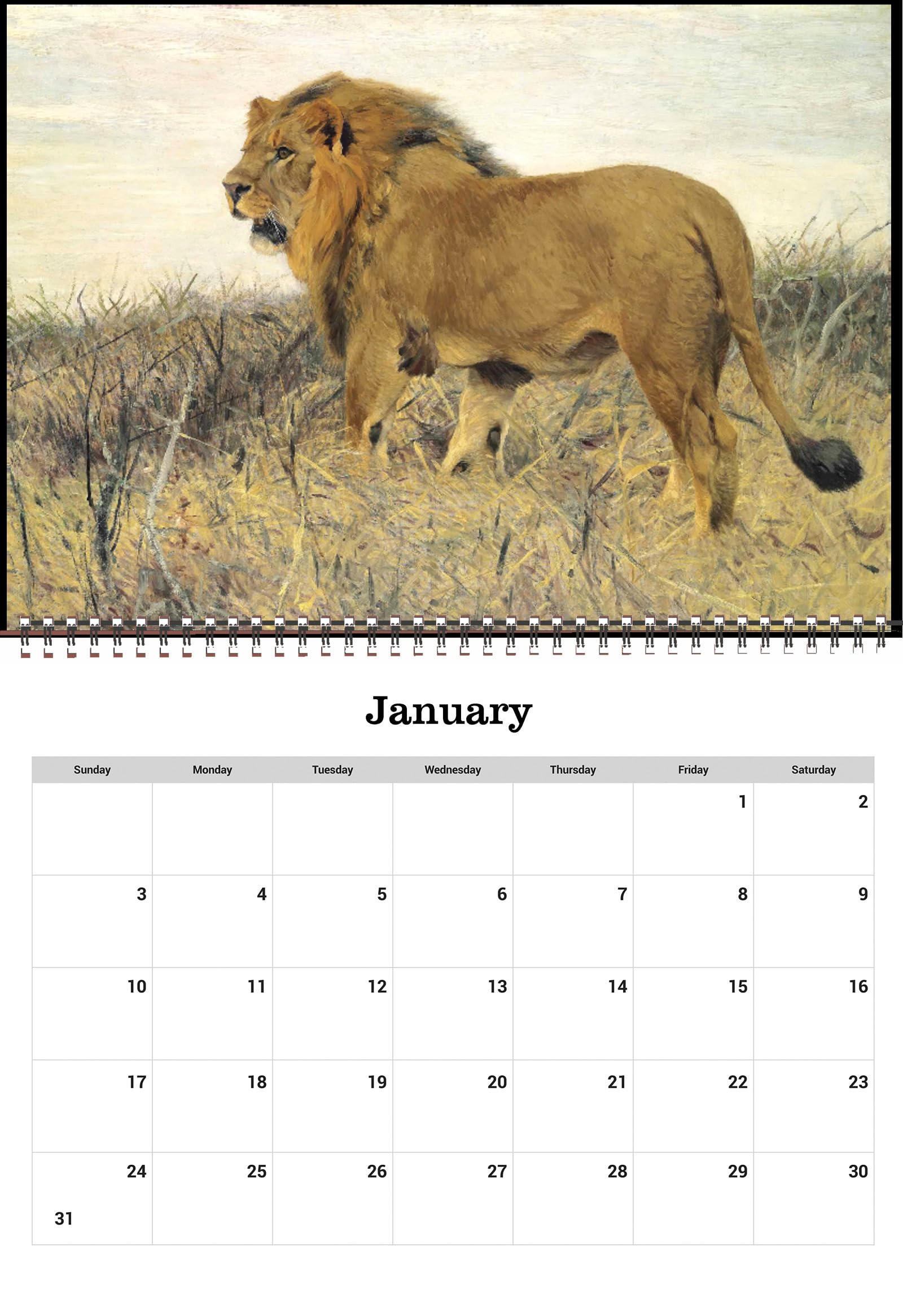 Amazon.com: Wall Calendar 2026 [12 pages 8